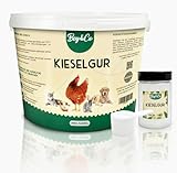 Bey&Co® Kieselgur-Pulver für Nutztiere und Haustiere I mehr Hygiene, 100% weiße Kieselgur für Hühnerstall Garten Wohnung, Hühner Katzen Hunde und mehr, ökologisch & extra effektiv (1,45 KG)