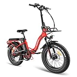 Fafrees F20 Max E-Bike Klapprad 20 Zoll Elektrofahrrad, e Bike Herren 48V 22.5Ah Akku E-Fahrrad, Faltbares ebike Damen, Pedelec E-citybike für Erwachsene (Grau)
