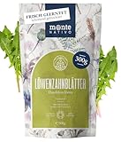 Löwenzahntee Monte Nativo (300 g) - Dandelion tea schonend getrocknet zur jeder Zeit - 100% rein und natürlich Löwenzahnblättertee als Kräutertee oder als Tee Geschenk - Früchtetee