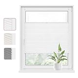 WOLTU Plissee Klemmfix ohne Bohren 100x130cm (BxH) Weiß Faltrollo Plisseerollo mit Klemmträger Lichtdurchlässig, Jalousie Sichtschutz und Sonnenschutz Easyfix Rollo für Fenster & Tür