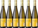 Setzer 8000 Ried Laa Grüner Veltliner 2022 Trocken (6 x 0.75 l)
