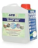 AGO® Quart 400 Grünbelag Entferner I Chlorfrei & Säurefrei I 2L Flechten & Algen Entferner Reiniger-Konzentrat für 400qm