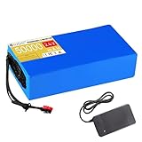 HJGHY 24 V 50 Ah E-Bike Lithium-Akkupack 24 Volt Elektrofahrrad Lithium-Ionen-Akku für 0-1200 W Motor mit Ladegerät und BMS,Anderson,24V 50Ah