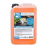 CleverAqua Milchsäurebakterien 6500ml probiotische Filterbakterien/Teichbakterien ideal für alle Garten, Koi und Schwimmteiche, reduziert Algen & Nitrit im Teich