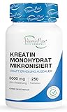 VitaminPure Creatin Monohydrat Mikronisiert 3000mg - 250 Tabletten - Reines Kreatin für Kraft, Erholung & Ausdauer - Creatin Kapseln Pre Workout