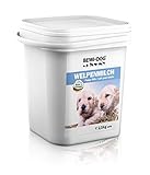 BEWI DOG Welpenmilch [2,5 kg] | Aufzuchtfutter für Hundewelpen in den ersten Wochen | Beifütterung bei Milchmangel der Hündin