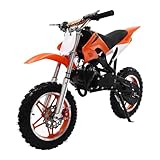 49ccm Dirt Bike 10in Dirtbike Kindercross Kinder Cross Crossbike 1,8L Tankinhalt Scheibenbremsen Pocket Cross Dirtbike für Kinder ab 6-16 Jahren