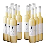 Bergblut Bio Ingwer Konzentrat – 12 x 500 ml Ingwerkonzentrat mit Bio Zitronen & Limettensaft | Ingwer Saft als scharfe Würze, Limonade & Ingwer Shot | Vegan & ohne Zucker oder Zusätze