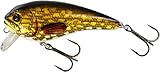 Westin Fat Bite Floating Wobbler Spinnfischen Crankbait Barsch Hecht Forelle Spinnköder Raubfische Barschköder Natural Pike 8cm / 24g / schwimmend / 0.3-0.8m