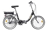 Discovery Denver Unisex – Erwachsene E1000 Rückwärtsmotor 24 V Elektrofahrrad Klapprad 20 Zoll Farbe Schwarz oder Anthrazitgrau, Dunkelgrau Metallic