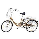 TkkMivcOC Dreirad für Erwachsene 24 Zoll, 6 Gang 3 Rad Fahrrad mit Selbst Erzeugtes Schleifradlicht, V Brake, O Förmigen Sturzbügel, für Männer, Frauen Ältere Menschen, Gold
