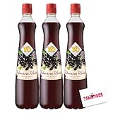 YO Fruchtsirup Schwarze Johannisbeere Ribisel (3er Pack) | Vegan | Sirup 700ml - mit intensivem Geschmack, Ideal für Cocktails und Getränke Mixen + Zama4Zingo Karte