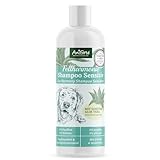 AniForte Fellharmonie Hundeshampoo Sensitiv mit Aloe Vera 200ml – Für leicht kämmbares Fell & Vitale Haut, Pflegeshampoo für Sensible Hunde, frei von Farbstoffen & Parfum