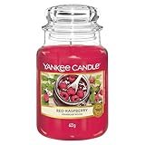 Yankee Candle Duftkerze im Glas (groß) | Red Raspberry | Brenndauer bis zu 150 Stunden | Perfekte Muttertags- und Ostergeschenke für Frauen