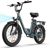 URLIFE E-Bike für Erwachsene, 20 * 3.0' Fetter Reifen Elektrofahrrad Für Stadtpendler, 48V 13Ah Austauschbarem Akku bis 100KM, 250W Motor mit LCD Display, 7 Gang Elektrofahrräder Für Herren Damen