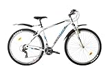 Multibrand Distribution Probike PRO 29 Zoll Fahrrad Mountainbike 21 Gang, Herren, Damen geeignet ab 175-190 cm (Weiß Blau)