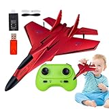 Ferngesteuertes Flugzeugspielzeug, RC-Flugzeug für Modell, 2,4 GHz RC Jagdflugzeug, Spielzeugmodell aus Schaumstoff zum Entfernen mit Licht für Anfänger und