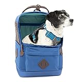 Nomad Hunderucksack, Blau