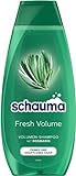 Schauma Volumen-Shampoo Fresh Volume (400 ml), Haarshampoo erfrischt und kräftigt den Haaransatz, Shampoo für feines und kraftloses Haar, mit Rosmarin