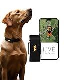 PAJ GPS Tracker für Hunde - 4G - Weglaufalarme + weltweite Live-Ortung - Akkusparmodus in Routernähe - Hunderückruf - mit Leucht-LEDs - Wasserdicht (IP67) - passt an jedes Halsband - schwarz