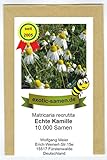 Echte Kamille - Bienenweide - Matricaria recrutita - 10.000 Samen