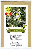 Echte Kamille - Bienenweide - Matricaria recrutita - 10.000 Samen