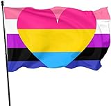 Pan Pansexual Genderfluid Pride Flag Themed Welcome Party Outdoor Outside Decorations Ornament Picks Home House Garden Yard Decor 3 X 5 Ft Flag