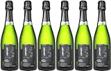 Domaine Gaudreau Fines Bulles Vouvray AOP 2016 Extra Brut (extra herb) (6 x 0.75 l)