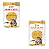 Royal Canin Maine Coon Adult | Doppelpack | 2 x 12 x 85 g | Nassfutter für Katzen | Speziell auf die Bedürfnisse von Maine Coon Katzen abgestimmt | Angepasster Energiegehalt
