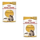 Royal Canin Maine Coon Adult | Doppelpack | 2 x 12 x 85 g | Nassfutter für Katzen | Speziell auf die Bedürfnisse von Maine Coon Katzen abgestimmt | Angepasster Energiegehalt