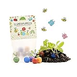 Set aus 10 x 5 bunten Blumenmurmeln – Nachhaltige Mitgebsel für Kindergeburtstage – Geschenkidee für Kita, Schule & Kollegen – Seedbombs als Gastgeschenk, Dankeschön & Abschiedsgeschenk