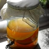 Großes (5 Liter) Bio-zertifiziert von OF&G Kombucha Scoby / Pilz von Kombuchaorganic® Kombucha Kultur, Startset für Ihr eigenes Kombucha Getränk