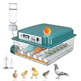 Hethya Brutautomat Vollautomatisch Brutmaschine Vollautomatisch Inkubator Hühner für 12-16 Eier, Brutkasten Hühner mit Automatischem Eierdrehen und Automatischer Wasserzugabe