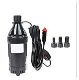 PIGENE Kleine Tauchpumpe Einstellbare DC 12 V Dieselpumpe für Öl Kraftstoffpumpe Brushless Universal