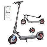 E Scooter 10 Zoll Elektroroller Erwachsene mit Doppel Federung und App, Faltbarer Electric Scooter 36V 10.4AH Batterie 20km/h Geschwindigkeit 450W Motor, Elektro Scooter mit Doppelbremse Stoßdämpfer