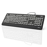 Hama USB Tastatur beleuchtet mit Kabel KC-550 (laserbeschriftet, deutsches Tastenlayout QWERTZ, 12 Media-Tasten, ergonomische Tastatur für PC und Laptop, flach, extra langes Kabel 180 cm) schwarz