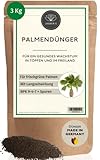 Bio Palmendünger Langzeit 3 Kg Granulat - 100% Langzeitdünger - Palmendünger Hanfpalme - Freilandpalmendünger für draußen und im Garten - Dünger für Palmen - Palmen Dünger