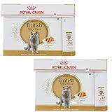 Royal Canin British Shorthair | Doppelpack | 2 x 12 x 85 g | Nassfutter für ausgewachsene Britisch Kurzhaar Katzen | Ab dem 12. Lebensmonat geeignet | Kleine Stückchen in Soße