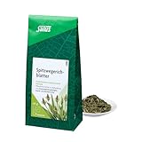 Salus Spitzwegerichblätter Arzneitee bio (60 g)