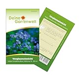 Vergissmeinnicht Indigo Compacta Blue Samen - Myosotis sylvatica - Vergissmeinnichtsamen - Blumensamen - Saatgut für 50 Pflanzen