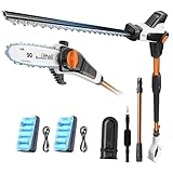 Litheli 20V 2-in-1 Akku Teleskop Heckenschere & Hochentaster mit Zwei Akku, 47 cm Stabheckenschere, abwinkelbarer Kopf und Verlängerungsstange zum Schneiden von Ästen, Trimmen.