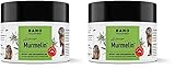 Arlberger Murmelin Sport und Gelenksalbe I Original Murmeltiersalbe I MADE IN AUSTRIA I mit Murmeltieröl | Arnika | Latschenkieferöl | Menthol 200 ml (Packung mit 2)