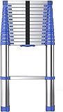 8 m/7 m/6,2 m/5 m/4,2 m/3,8 m/2,6 m Teleskopleiter für Dachzelt, Aluminium-Verlängerungs-Teleskopleitern für Wohnmobil, Dachboden, Heim-Loft, Traglast 150 kg (Größe: 2,6 m) Stern des Lichts