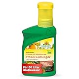 Neudorff BioTrissol Zitrus- & Mediterran PflanzenDünger – Organischer Bio-Dünger mit Extra Eisen sorgt für gesunde und aromatische Früchte, 250 ml, Grün