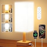 OYADISIIOP Tageslichtlampe 10000 Lux Lichttherapielampe mit 3 Farbtemperaturen, Dimmer, Fernbedienung, USB C und A - ports, UV-freies Tageslicht für Haus/Büro Verwendung als Lift Stimmung, Flader