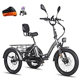 Fafrees F20 Mate Dreirad e Bike, 2025 E-Bike 3 Rad 48V 23.45Ah Akku, Elektro Dreirad Klapprad 20 * 3.0 Zoll, Hydraulischer Bremsstarter, Lasten ebike für Erwachsene (Kleiner Korb, Grau)
