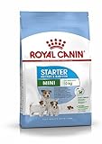 ROYAL CANIN SHN Mini Starter Mother & Babydog Dry Dog Food Poultry 8 kg