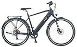 Prophete Entdecker 2.0 Trekking E-Bike 28 Zoll - 360 Wh - Integrierter Akku - Heckmotor - 8-Gang Kettenschaltung - HDY. Scheibenbremse - Rahmenhöhe 54 cm