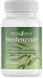 Weidenrinde-Kapseln - 60 Kapseln für 2 Monate - 200 mg Weidenrindenextrakt - Natürlicher Pflanzenextrakt - Mit 50 mg Salicin - 100% natürlich