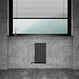 WITEN&NOCK Designheizkörper Flach Paneelheizkörper 300 x 550 mm Anthrazit Einlagig mit Seitenanschluss Austauschheizkörper Nabenabstand 500 mm inkl. Thermostatventile